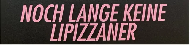 Kunst und Kultur: Noch lange keine Lipizzaner